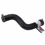 Radiator Coolant Hose - Lower Main Image