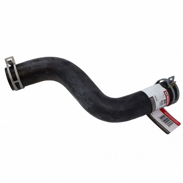 Radiator Coolant Hose - Lower Main Image