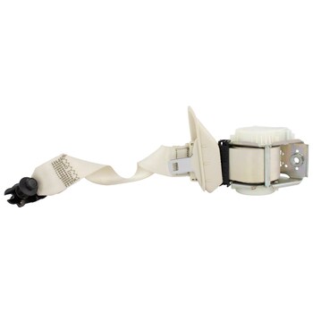 Seat Belt Shoulder - Right, Rear