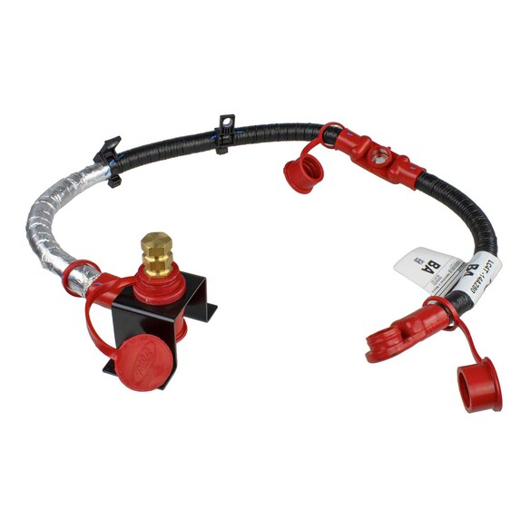 Starter Cable (AT) Main Image