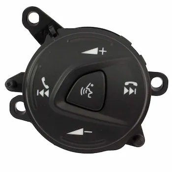 Cruise Control Switch