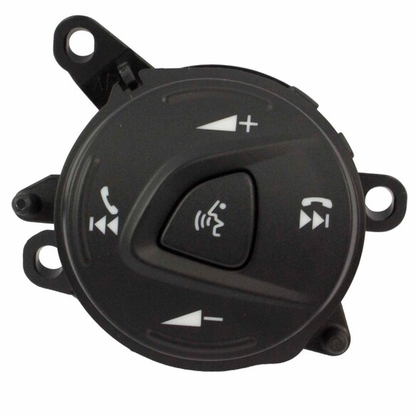 Cruise Control Switch Main Image