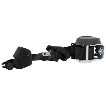 Seat Belt - Right, Rear