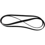 Serpentine Belt - 2.3L (MT) Main Image