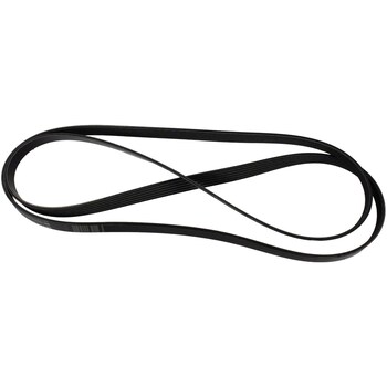 Serpentine Belt - 2.3L (MT)