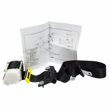 Seat Belt Lap and Shoulder - Rear