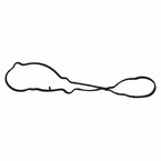 Engine Crankcase Vent Valve Seal Vapor Canister Purge Gasket Main Image