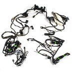 Wiring - Rear Main Image