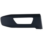 Applique Door Trim Panel - Left, Rear Main Image