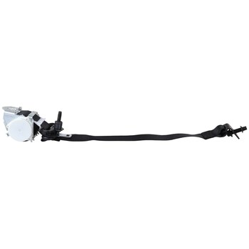 Seat Belt Assembly