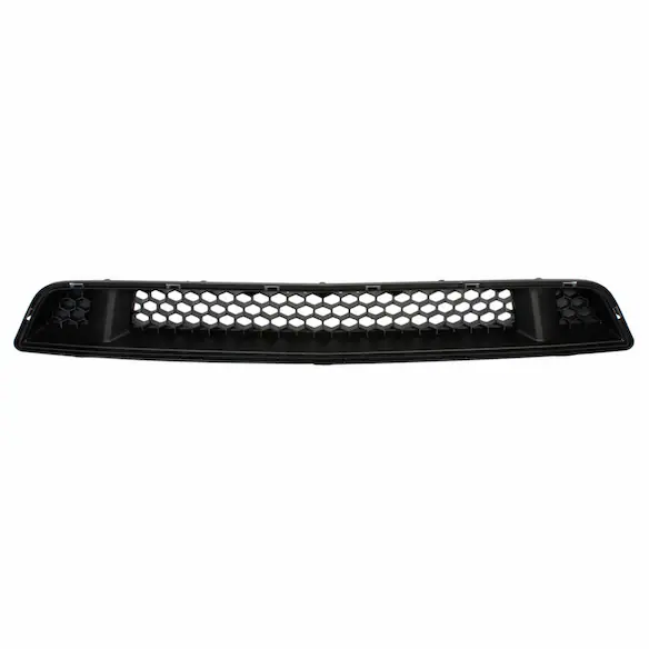 Bumper Grille - Front, Lower 5.0L Main Image