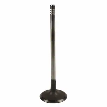 Engine Intake Valve - Inlet