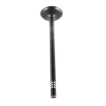Engine Exhaust Valve