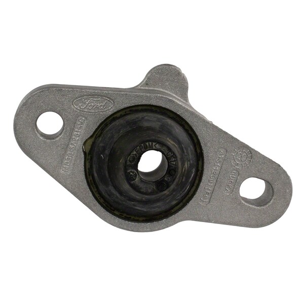 Support Main Image