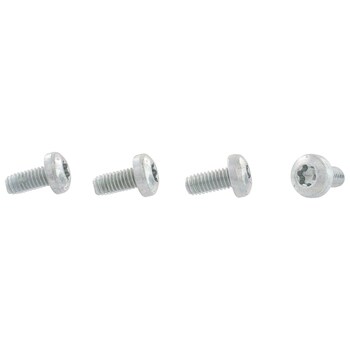 Harness screw Inverter - M6 X 13, Rear (GT Feature Car)