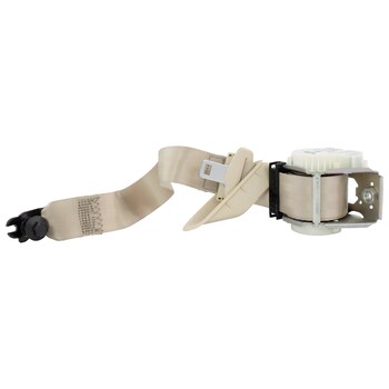 Seat Belt Shoulder - Left, Rear