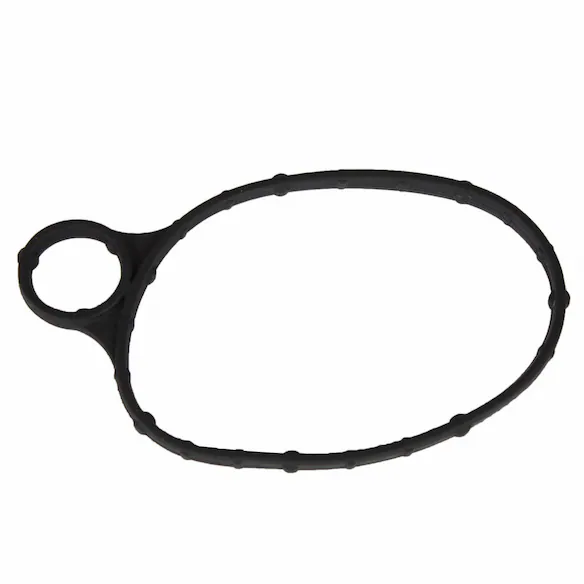 Vacuum Pump Gasket Main Image
