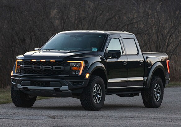 F-150_RAPTOR_CF_GLOSS.JPG
