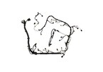 Mustang 2015 Coyote Auto Trans Engine Harness Main Image