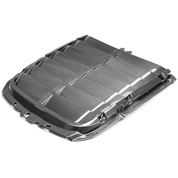 Mustang GT500 2020-2022 Carbon Fiber Hood Vent Kit Main Image