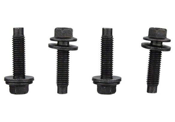 Raptor 2017-2022 FPP Bead Lock Ring Bolt Kit Main Image