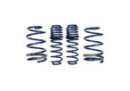 Mustang GT 2005-2014 Track Lowering Springs Main Image