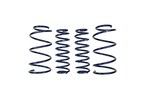 Mustang Cobra Jet 2013 Spring Kit Main Image