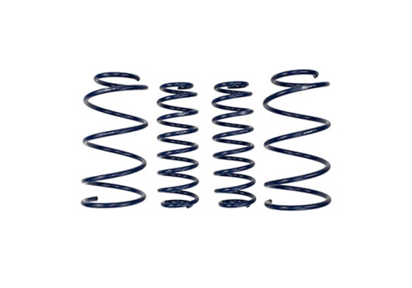 Mustang Cobra Jet 2013 Spring Kit Main Image