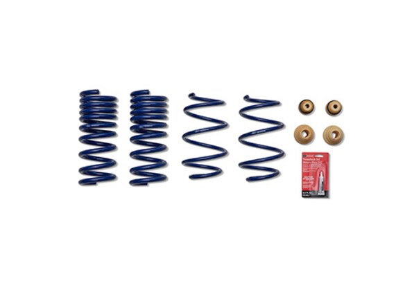 Mustang 2015-2023 Street Lowering Spring Kit Main Image