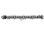 Mustang 1985-1995 Small Block V8 Hydraulic Roller Tappet Camshafts Main Image