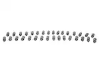 Mustang 2011-2020 5.0L Coyote Lash Adjuster Assembly Kit Main Image