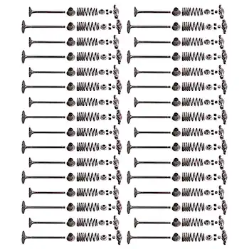 Mustang Cobra Jet 2018 5.2L Titanium Valve Train Kit