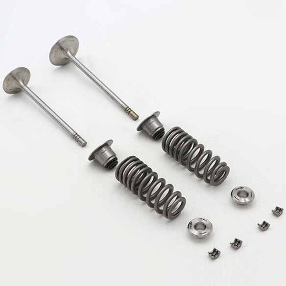Mustang 2015-2019 5.2L Cylinder Head Valve Train Kit Main Image