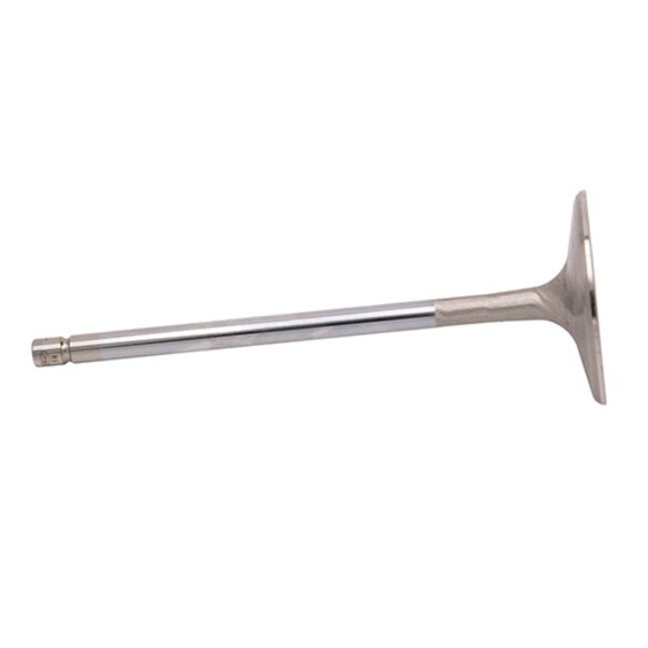 7mm Single Groove Intake Valve Main Image