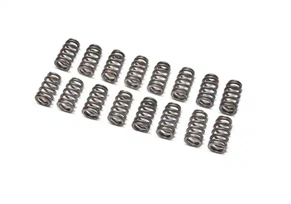 Ford Performance Beehive Valve Spring Set 1219X Ford Performance Beehive Valve Spring Set 1219X