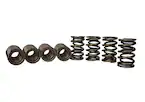 SET OF 8 TVS-1734 VALVE SPRINGS Main Image
