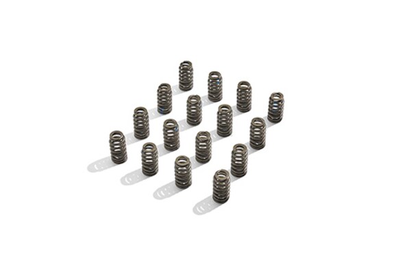 Mustang 2011-2014 Boss 302R Valve Spring Kit Main Image