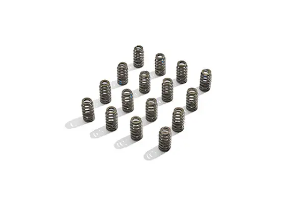 Ford Performance Boss 302R Valve Spring Kit 2011-up 5.0L Engine Ford Performance Boss 302R Valve Spring Kit 2011-up 5.0L Engine