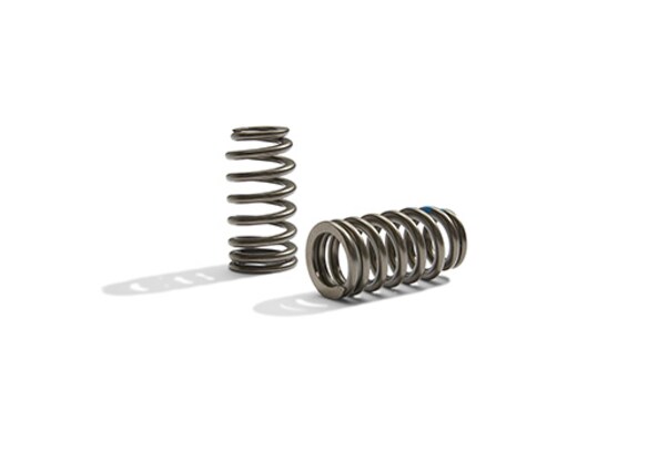 Ford Performance Boss 302R Valve Spring Kit 2011-up 5.0L Engine Ford Performance Boss 302R Valve Spring Kit 2011-up 5.0L Engine