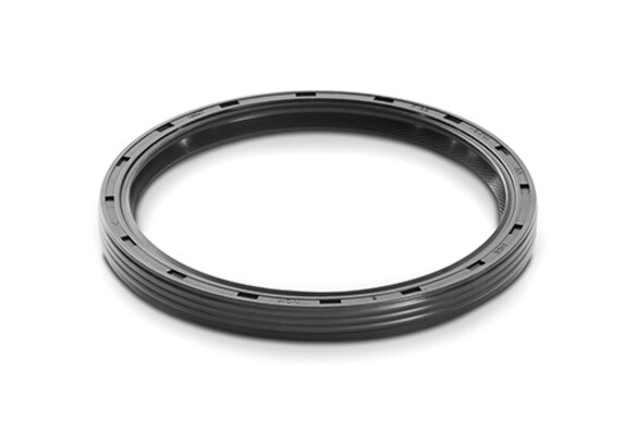 Mustang 1983-2001 302 One Piece Rear Main Oil Seal Main Image