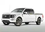 M-F150-FP700BR.JPG