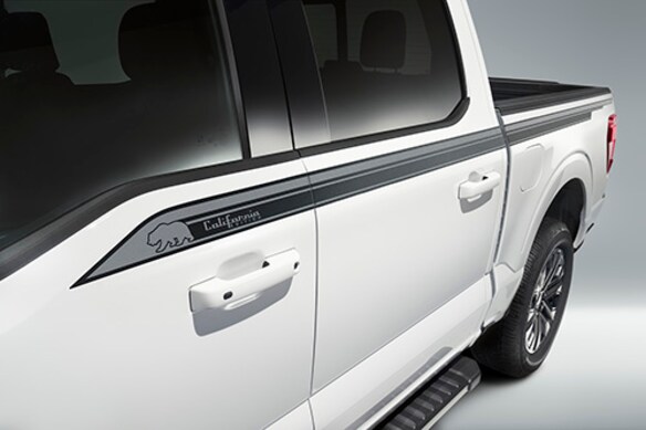 25_FRD_F15_69768_CA_SIDE_GRAPHICS_DETAIL.JPG