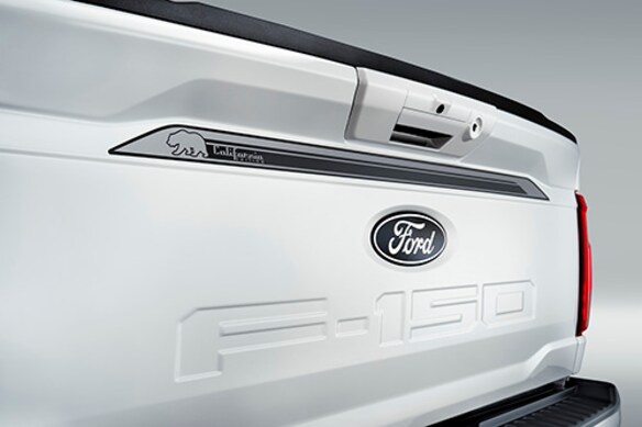 25_FRD_F15_69769_CA_REAR_GRAPHICS_DETAIL.JPG