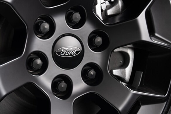 F150_DARKTRAIL_LUGNUT.JPG