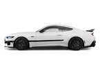 FCG_Mustang_FPS1A_FPS1P.v10.jpg