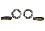 Mustang 1986-2004 8.8" Outer Axle Bearing and Seal Kit Main Image