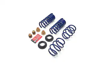 Mustang 2.3L Track Lowering Spring Kit