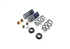 Mustang Street Lowering Spring Kit Main Image
