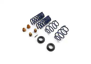Mustang Street Lowering Spring Kit