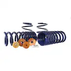 Mustang 2015-2023 Track Lowering Spring Kit Main Image